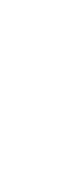 half-logo